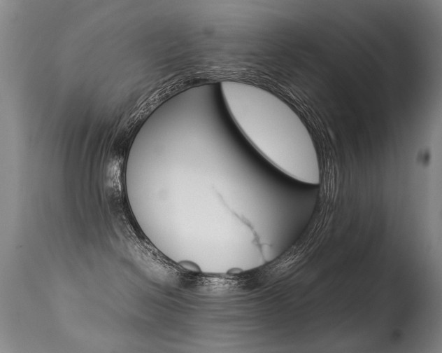 X0000113290286200909141012