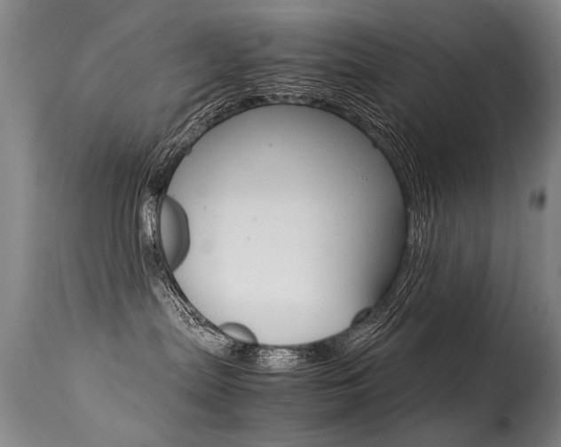X0000113290287200909141012