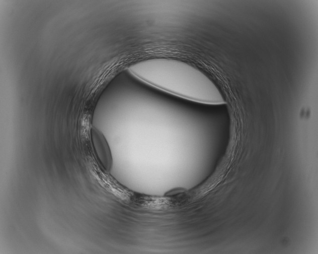 X0000113290288200909141012