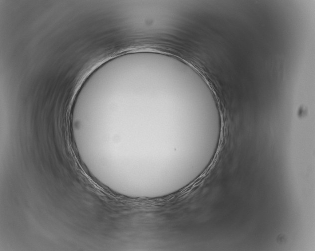 X0000113290289200909141011