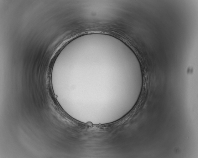 X0000113290290200909141011
