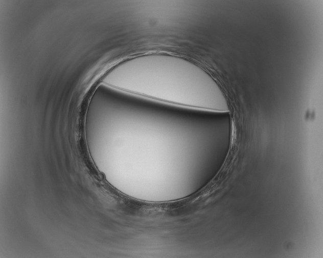 X0000113290291200909141011