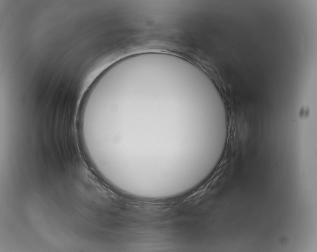X0000113290292200909141011