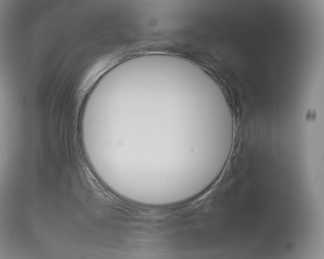 X0000113290293200909141011
