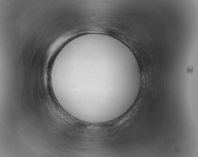 X0000113290294200909141011