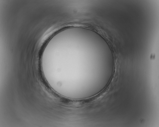 X0000113290295200909141011