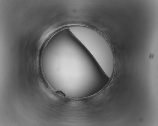 X0000113290296200909141011
