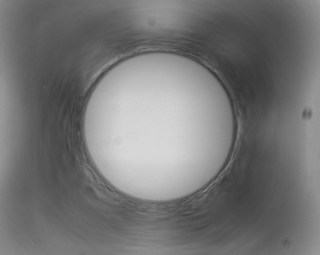 X0000113290297200909141011