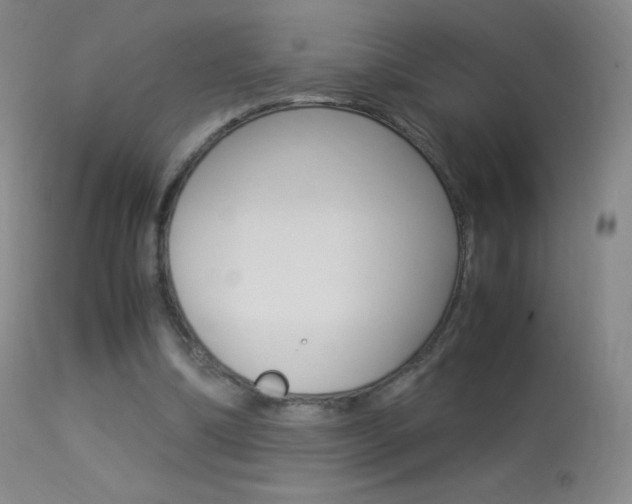 X0000113290298200909141011