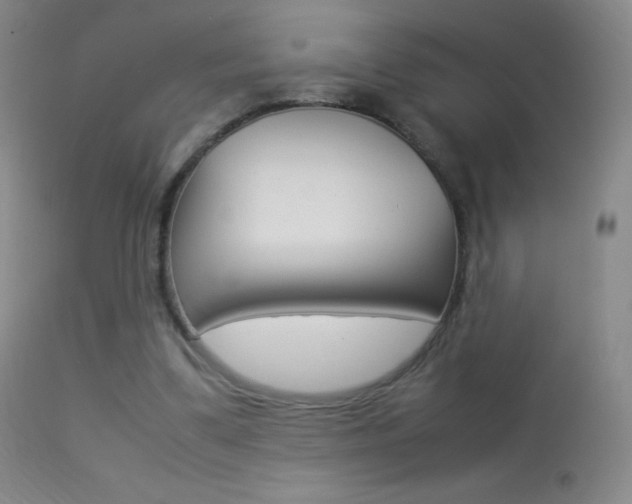X0000113290299200909141011
