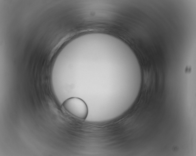 X0000113290300200909141011