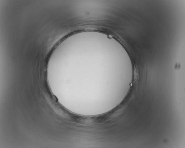 X0000113290301200909141011