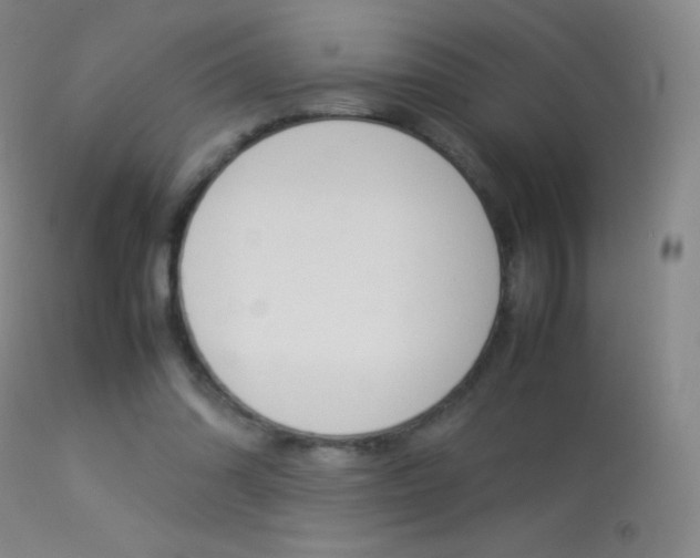 X0000113290302200909141011