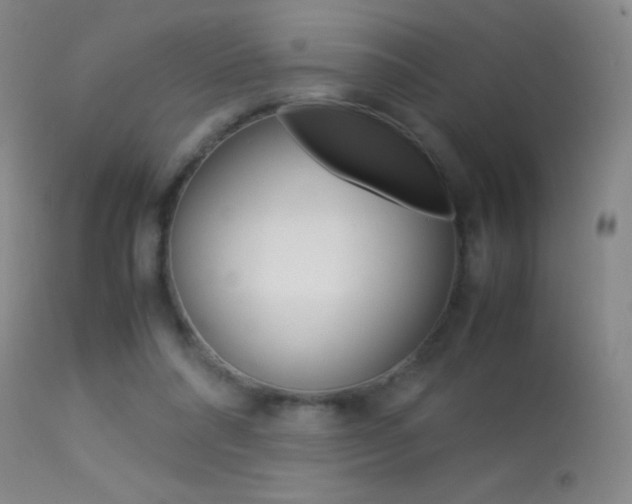 X0000113290304200909141011