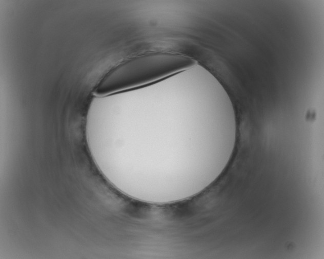 X0000113290305200909141011