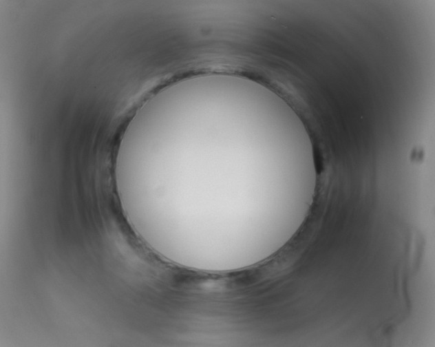 X0000113290306200909141011