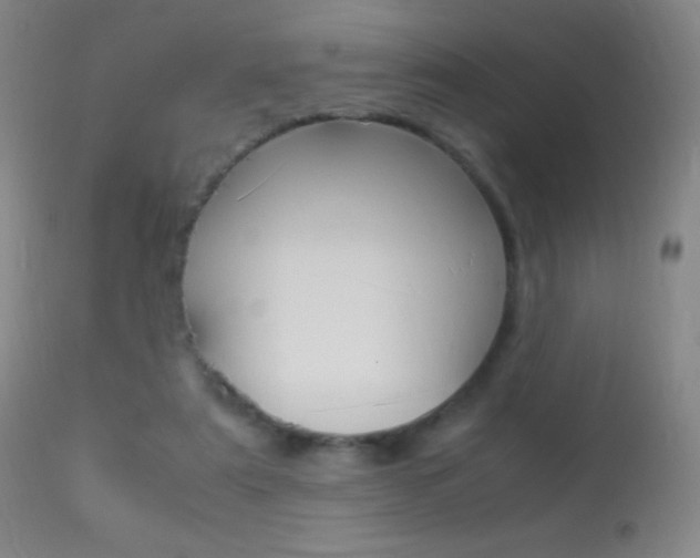 X0000113290307200909141011