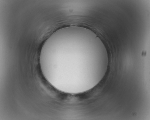 X0000113290311200909141011