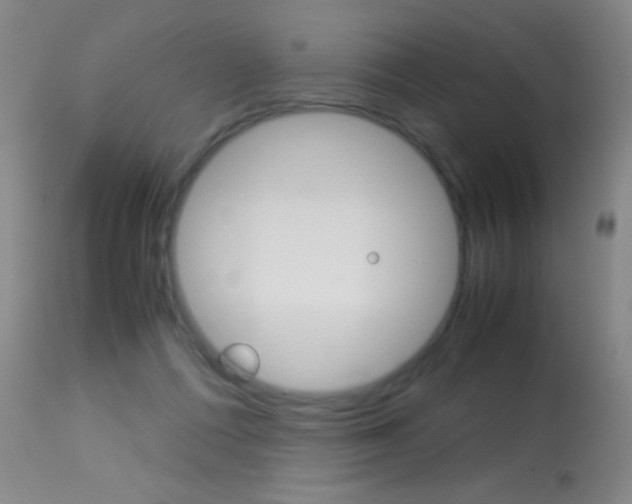 X0000113290312200909141011