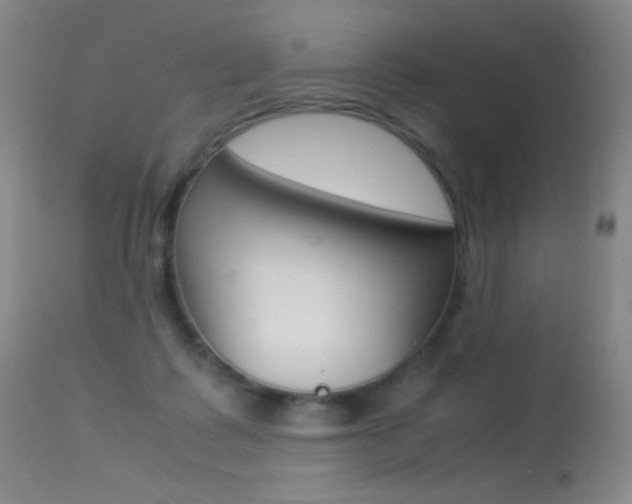 X0000113290315200909141011