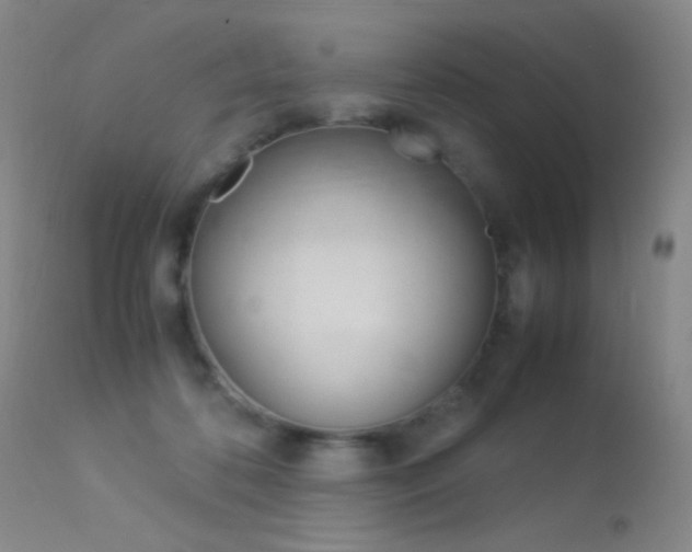 X0000113290316200909141011