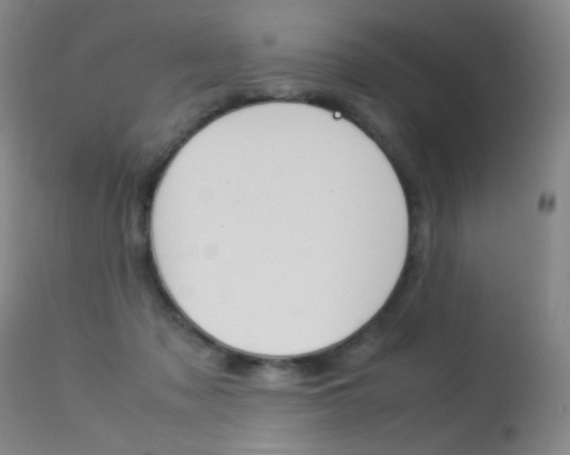 X0000113290317200909141011