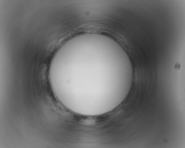 X0000113290318200909141011