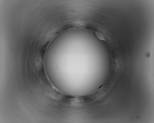 X0000113290320200909141011