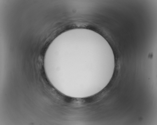 X0000113290321200909141011