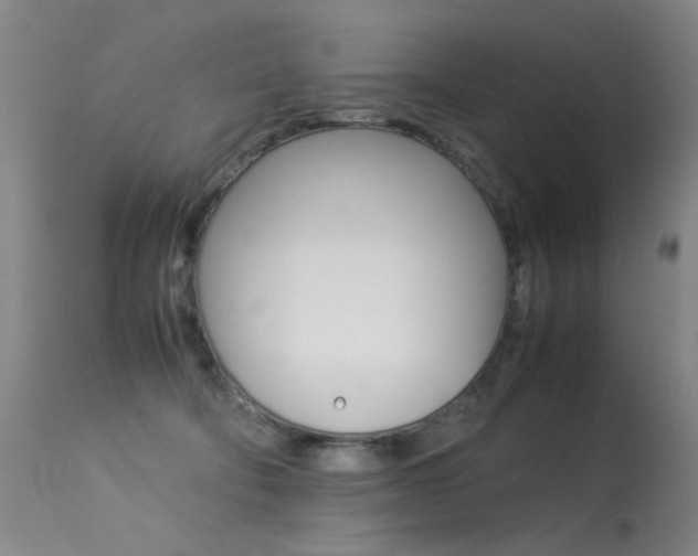 X0000113290322200909141011
