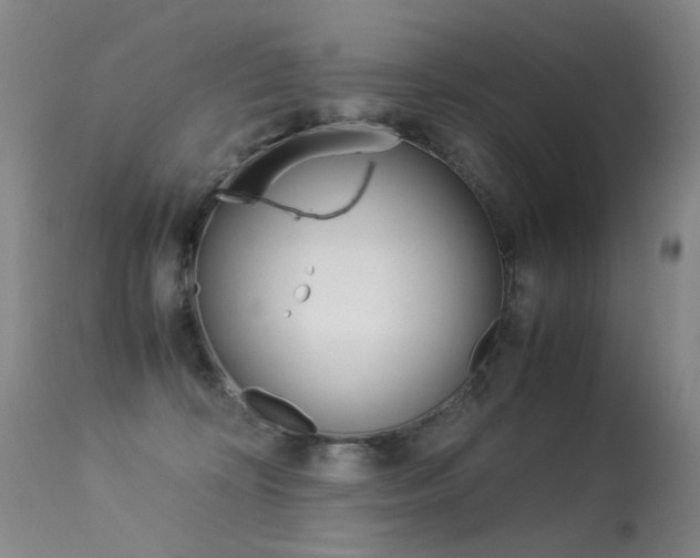 X0000113290324200909141011
