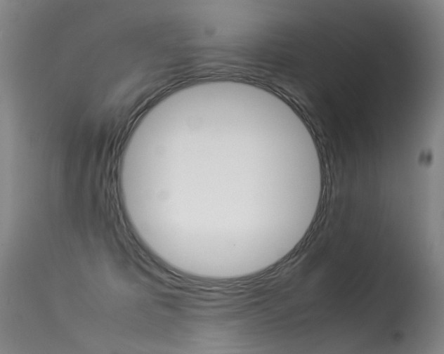X0000113290325200909141010
