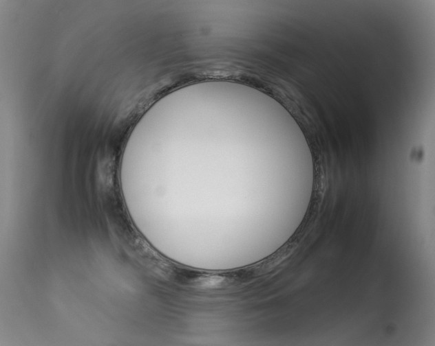 X0000113290326200909141010