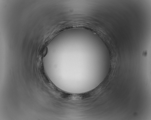 X0000113290327200909141010