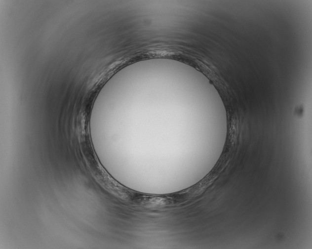 X0000113290330200909141010