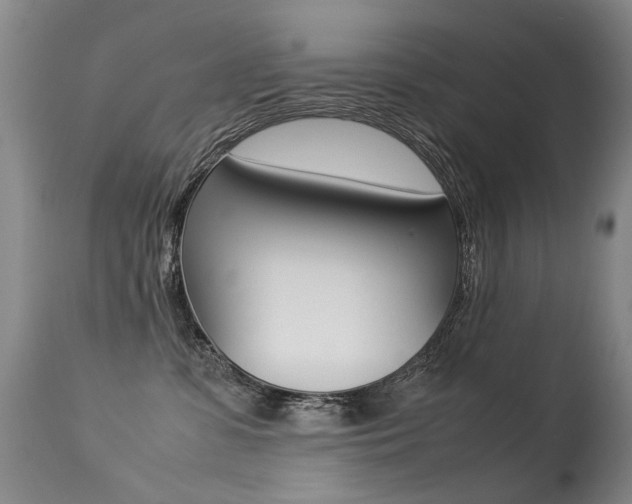 X0000113290331200909141010