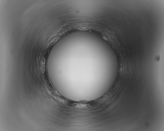 X0000113290332200909141010