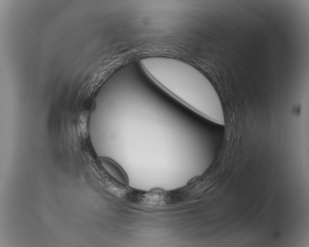 X0000113290335200909141010