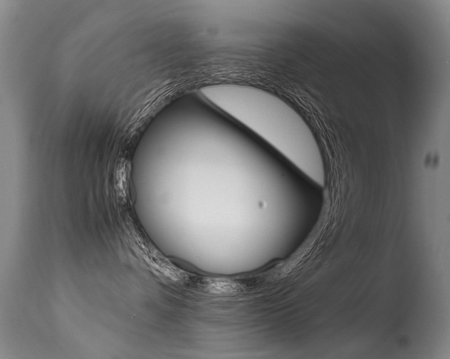 X0000113290336200909141010