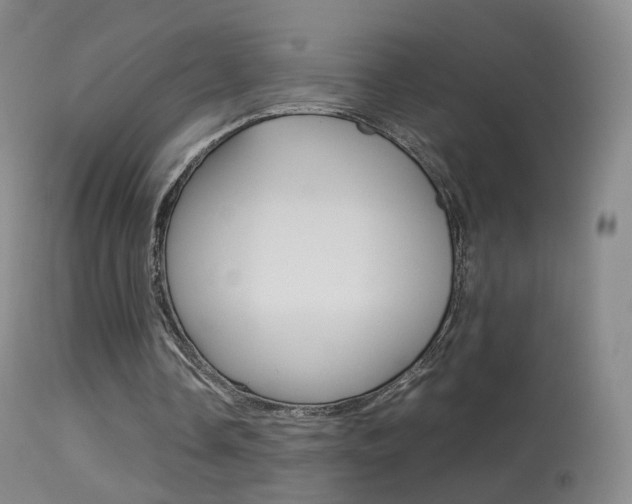 X0000113290338200909141010