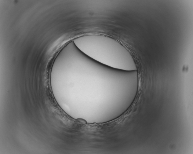 X0000113290339200909141010