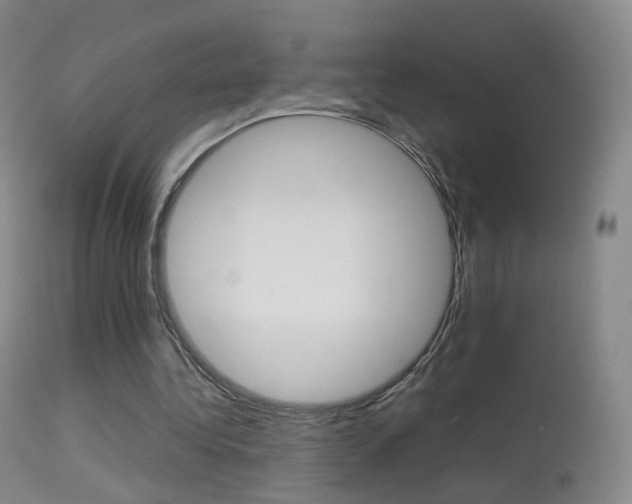 X0000113290340200909141010