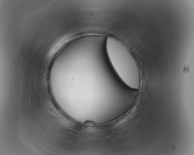 X0000113290341200909141010