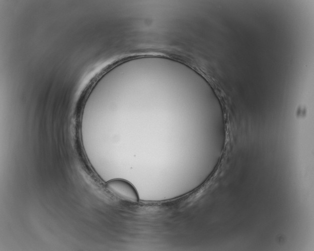 X0000113290342200909141010