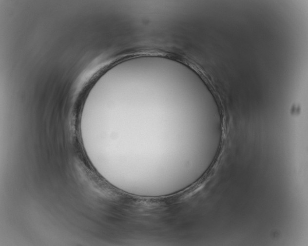 X0000113290343200909141010