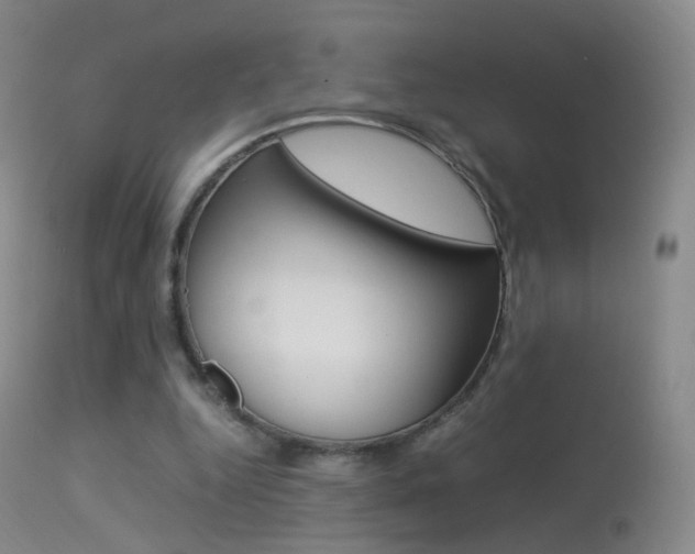 X0000113290344200909141010