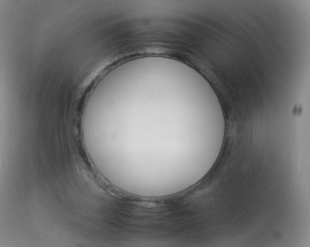 X0000113290347200909141010