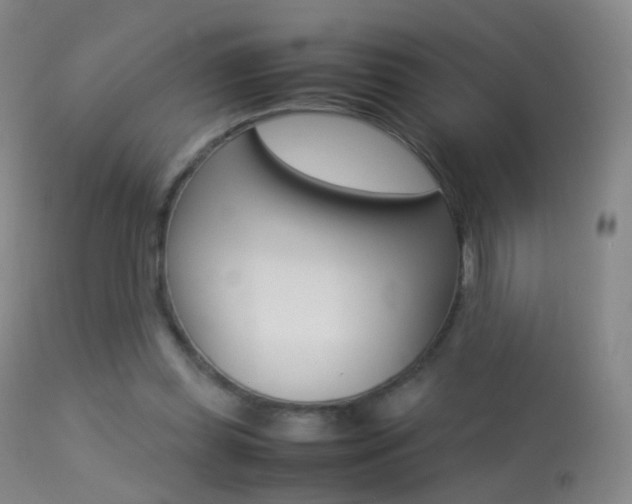 X0000113290349200909141010