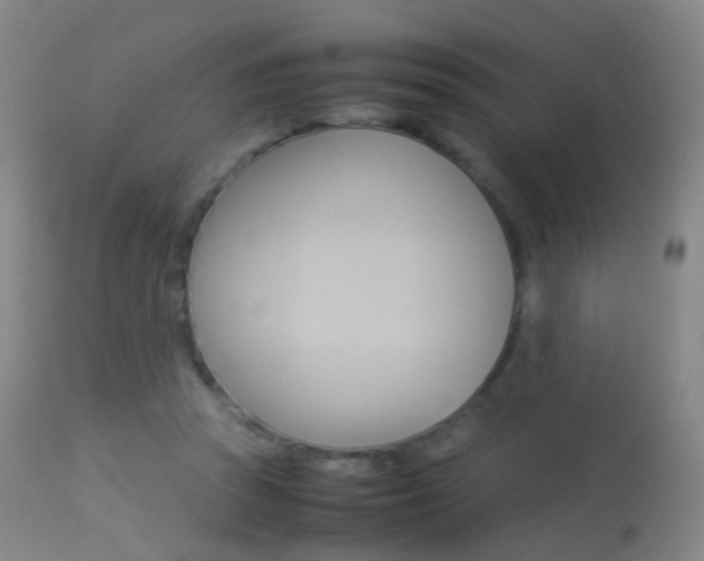 X0000113290353200909141010
