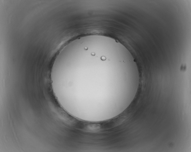 X0000113290355200909141010